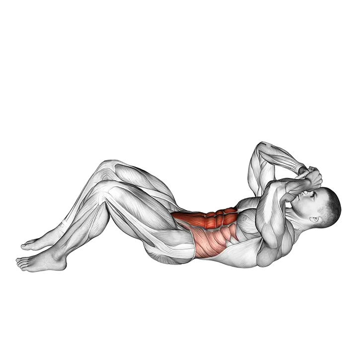 3-4 Sit-up exercise animation (Male)