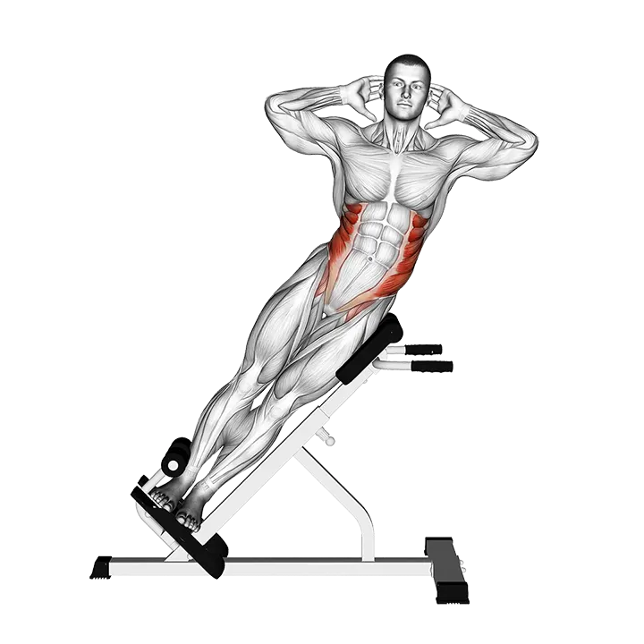 45 Degree Side Bend exercise animation (Male)