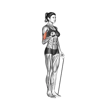 Alternate Biceps Curl (with band)