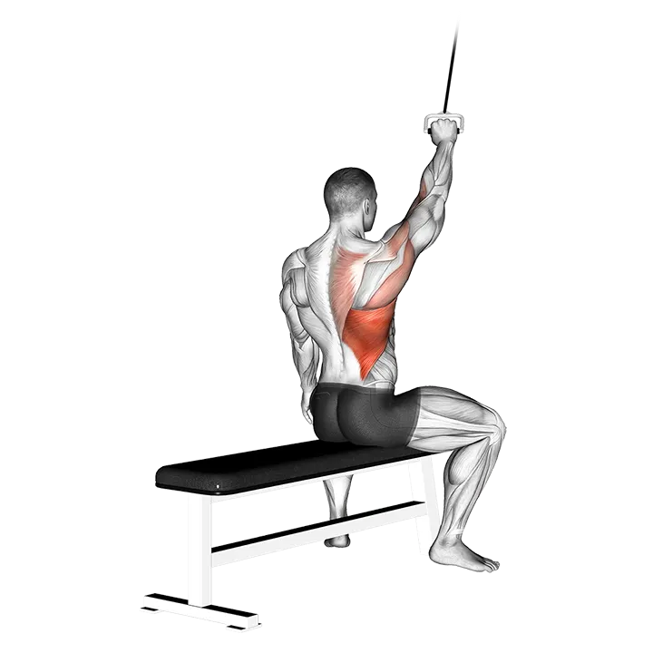 Alternate Lateral Pulldown exercise animation (Male)