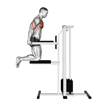 Assisted Chest Dip (kneeling)