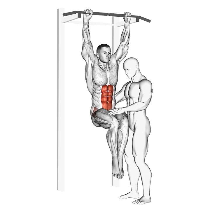 Assisted Hanging Knee Raise With Throw Down exercise animation (Male)