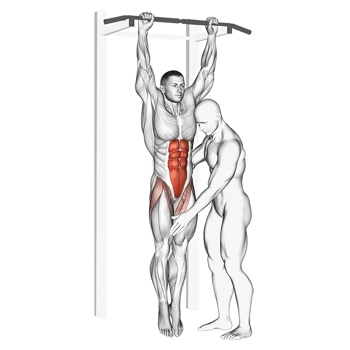Assisted Hanging Knee Raise exercise animation (Male)