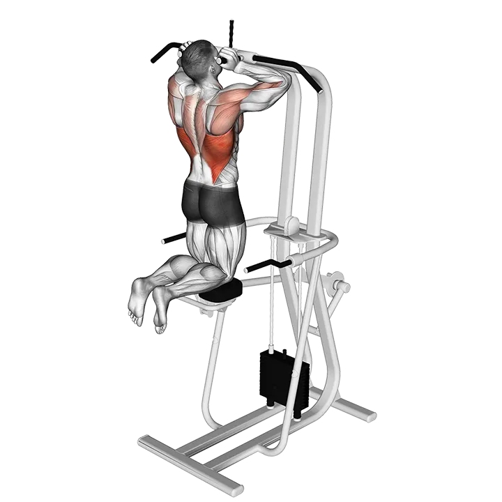 Assisted Parallel Close Grip Pull-up exercise animation (Male)