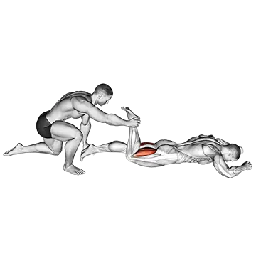 Assisted Prone Hamstring