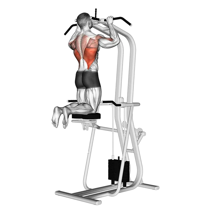 Assisted Pull-up exercise animation (Male)