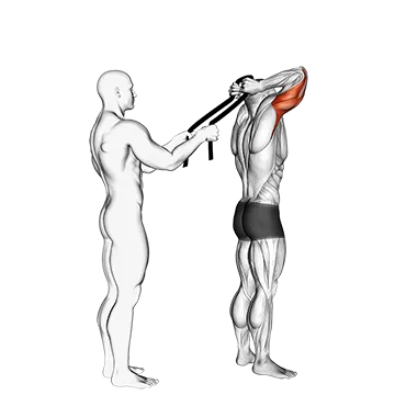 Assisted Standing Triceps Extension (with towel)