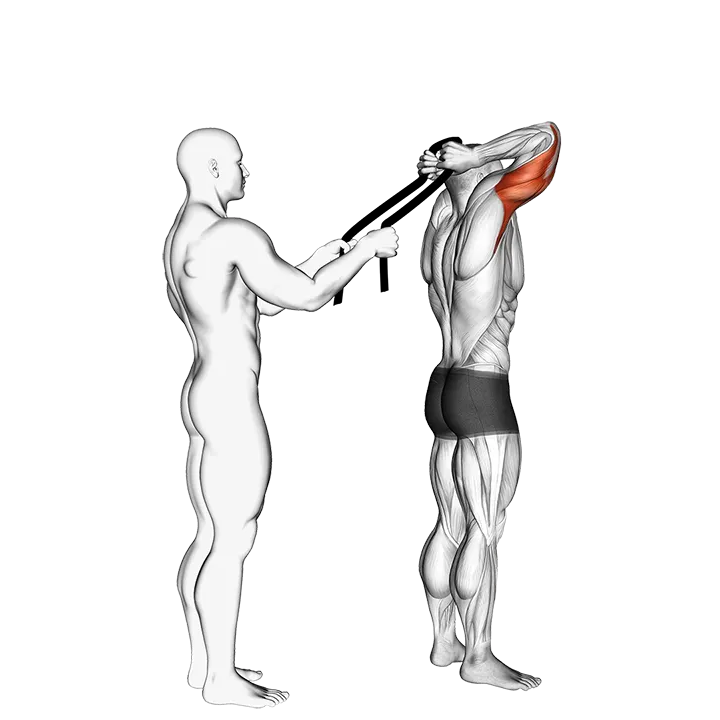 Assisted Standing Triceps Extension (with towel) exercise animation (Male)