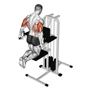 Assisted Triceps Dip (kneeling)