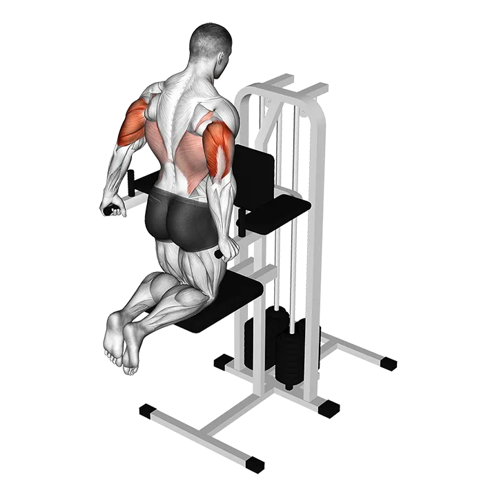 Assisted Triceps Dip (kneeling) exercise animation (Male)