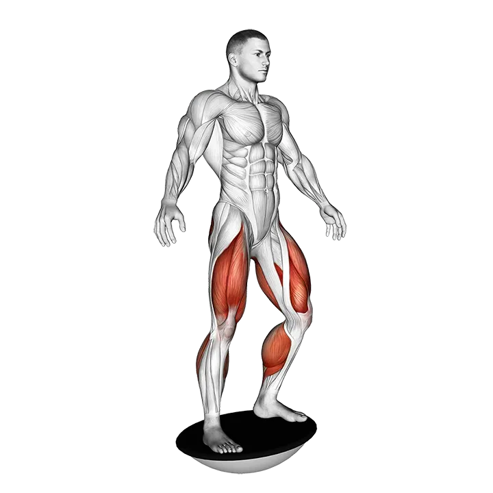 Balance Board exercise animation (Male)
