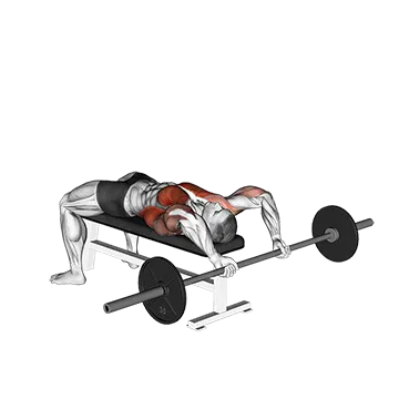 Barbell Pullover To Press