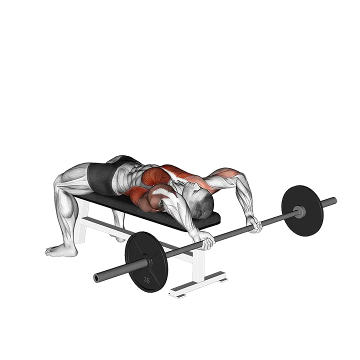 Barbell Pullover To Press exercise animation (Male)