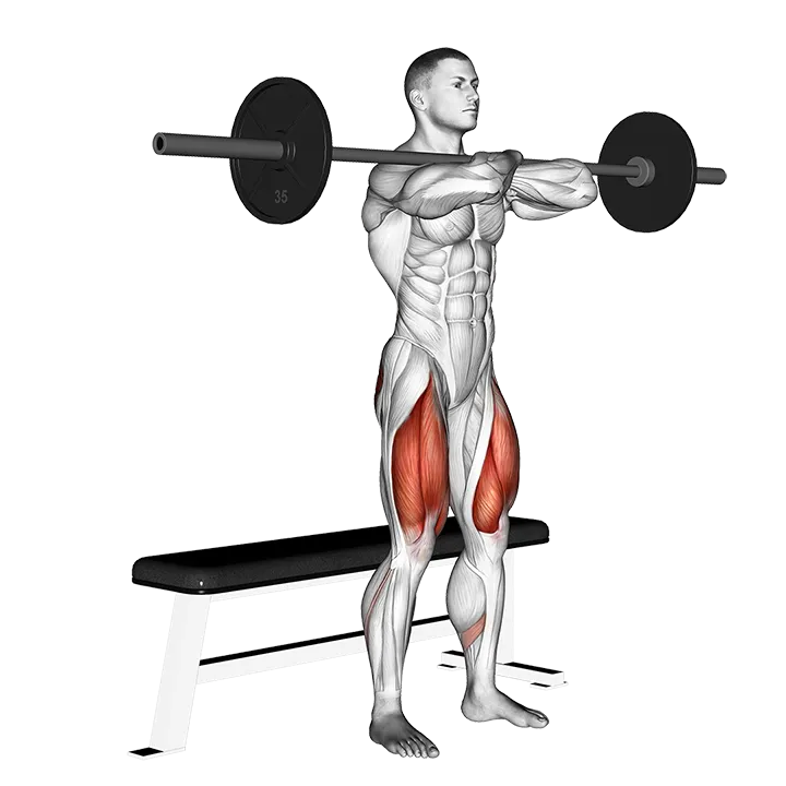 Barbell Bench Front Squat exercise animation (Male)