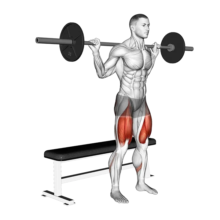 Barbell Bench Squat exercise animation (Male)