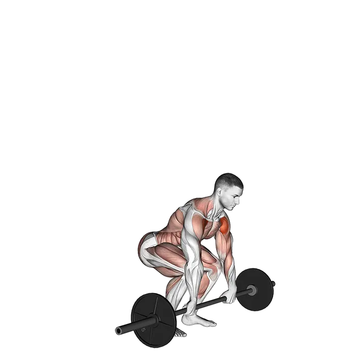 Barbell Clean and Press exercise animation (Male)