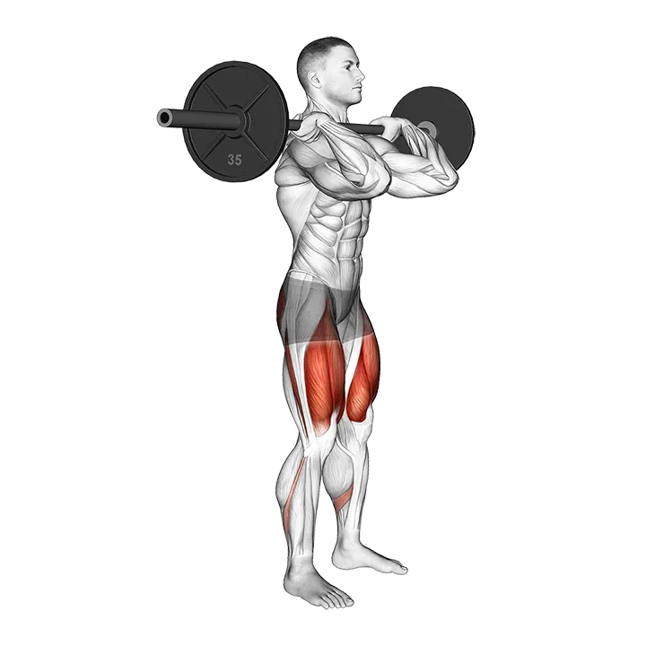Barbell Clean-grip Front Squat exercise animation (Male)