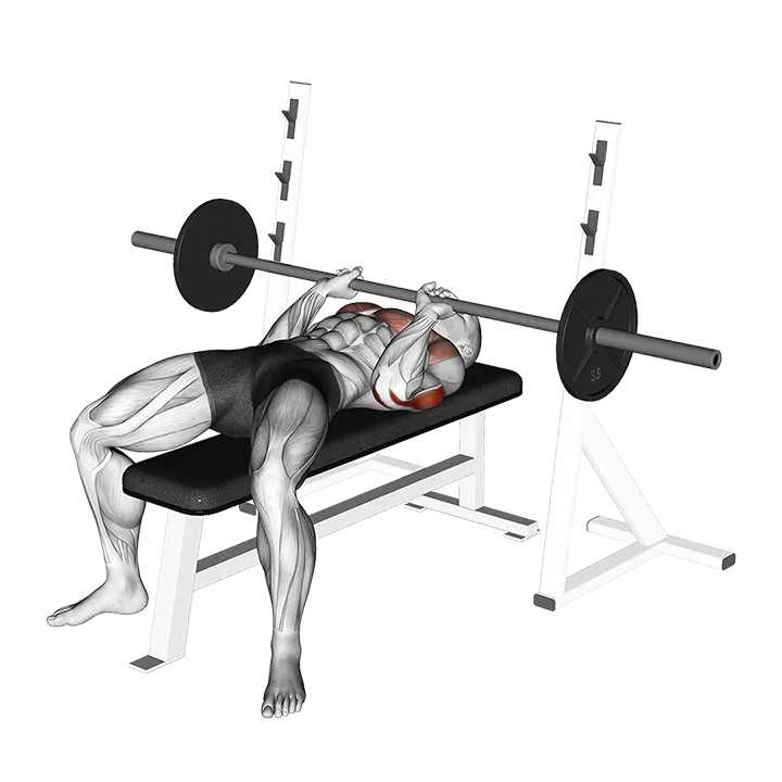 Barbell Close-Grip Bench Press exercise animation (Male)