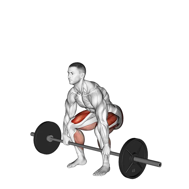 Barbell Deadlift exercise animation (Male)