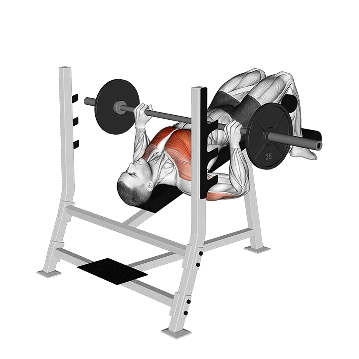 Barbell Decline Bench Press exercise animation (Male)