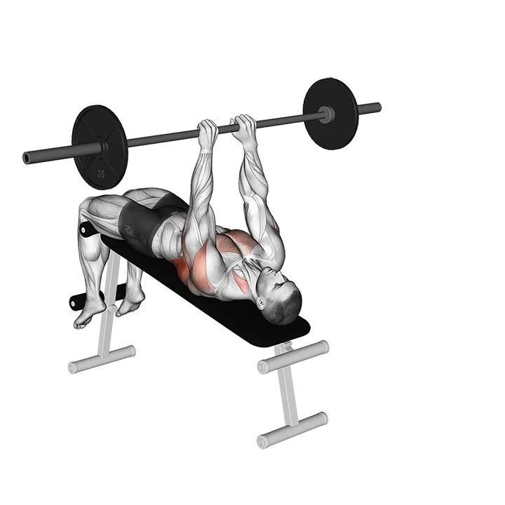 Barbell Decline Bent Arm Pullover exercise animation (Männlich)