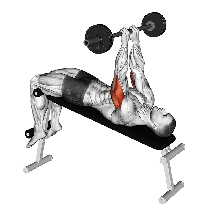 Barbell Decline Close Grip To Skull Press exercise animation (Male)