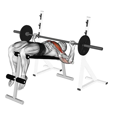 Barbell Decline Wide-grip Press