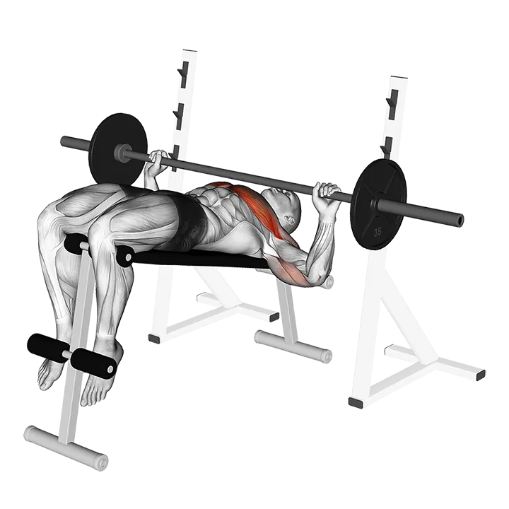 Barbell Decline Wide-grip Press exercise animation (Male)