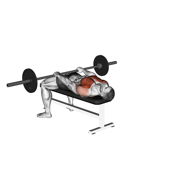 Barbell Front Raise and Pullover exercise animation (Männlich)