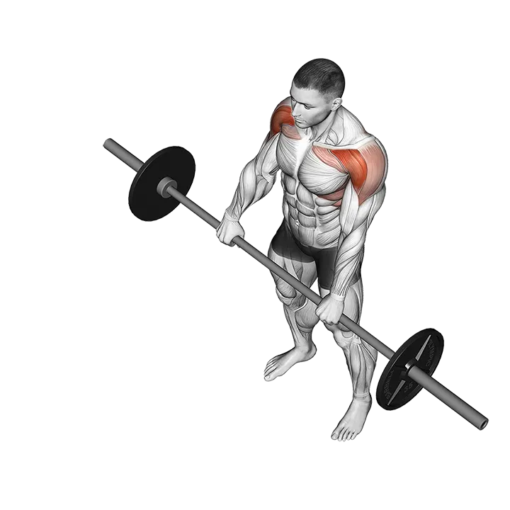 Barbell Front Raise exercise animation (Male)