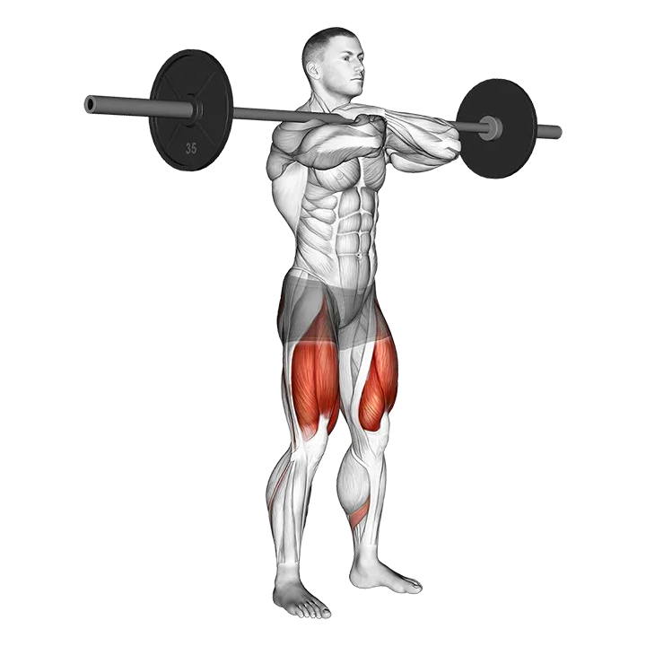 Barbell Front Squat exercise animation (Male)