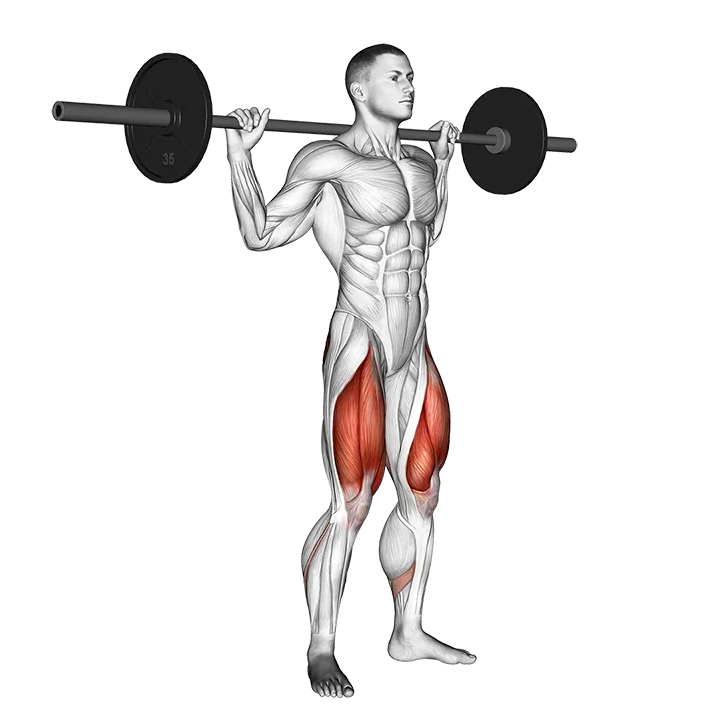 Barbell Full Squat exercise animation (Male)