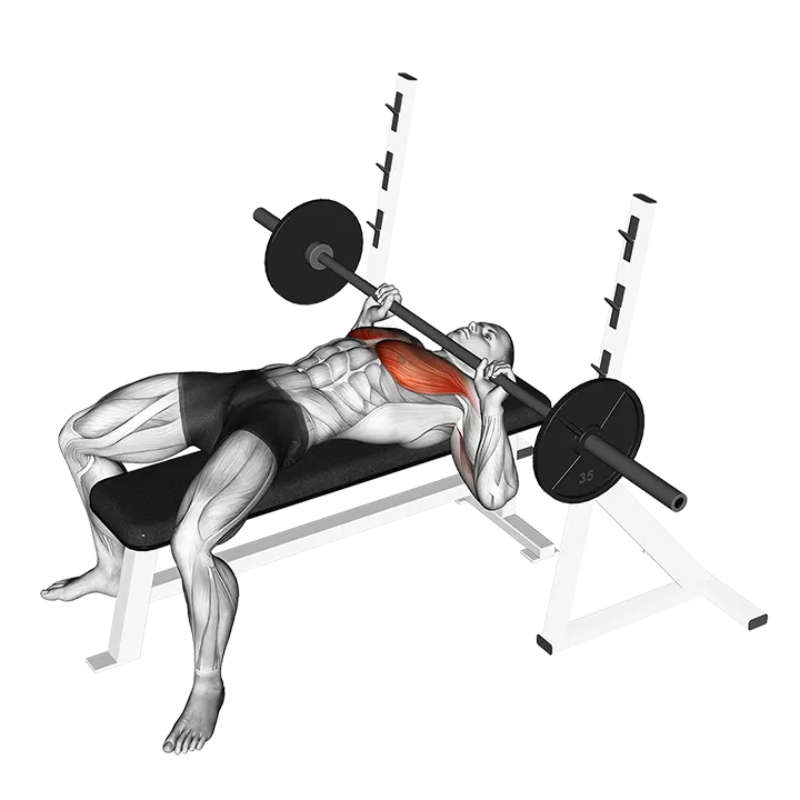 Barbell Guillotine Bench Press exercise animation (Male)