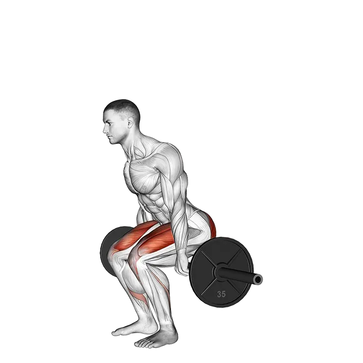 Barbell Hack Squat exercise animation (Male)