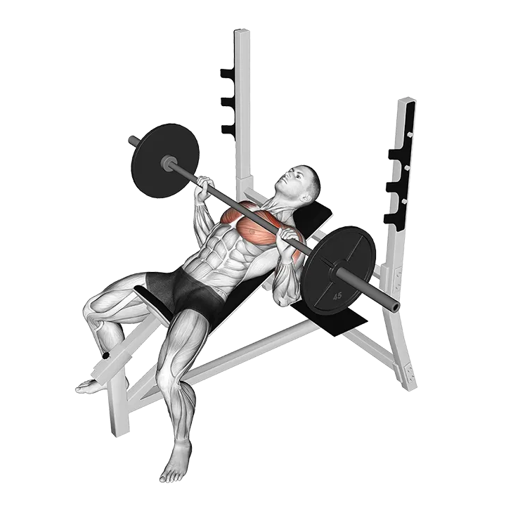 Barbell Incline Bench Press exercise animation (Male)