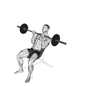 Barbell Incline Reverse-grip Press
