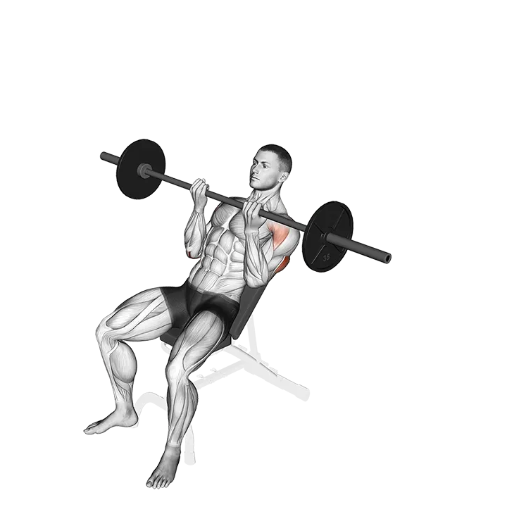 Barbell Incline Reverse-grip Press exercise animation (Male)