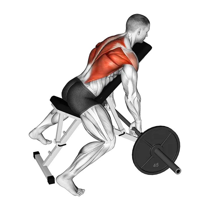 Barbell Incline Row exercise animation (Male)