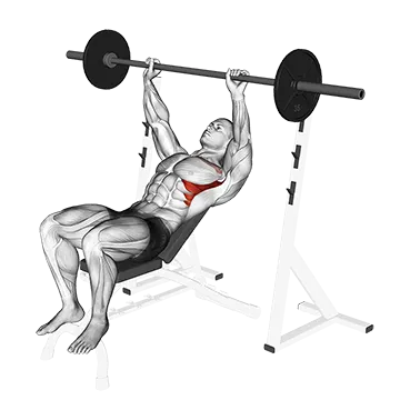 Barbell Incline Shoulder Raise