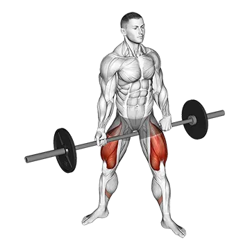 Barbell Jefferson Squat