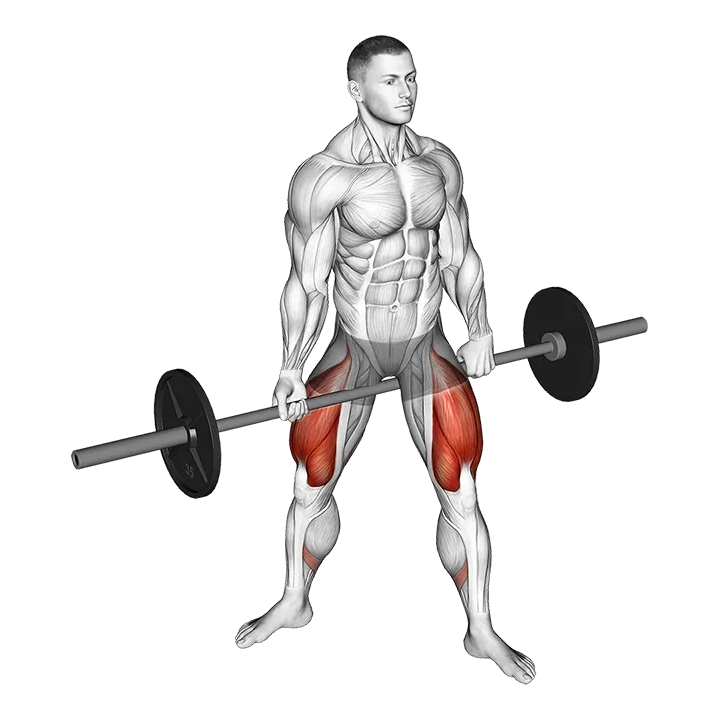 Barbell Jefferson Squat exercise animation (Male)