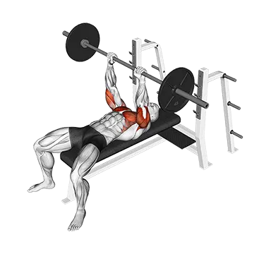 Barbell JM Bench Press