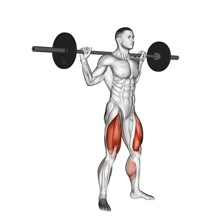 Barbell Jump Squat exercise animation (Male)