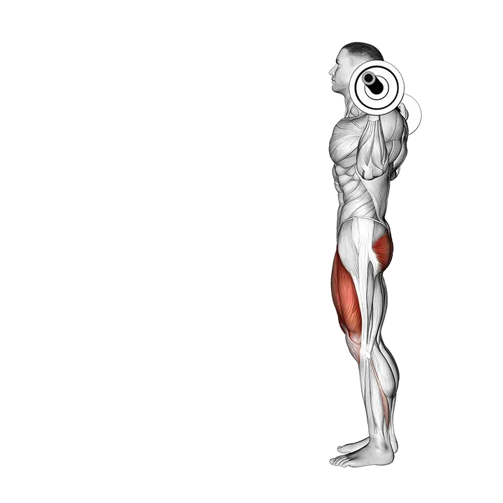 Barbell Lunge exercise animation (Male)