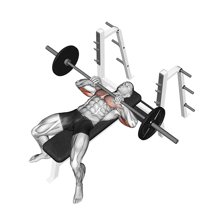 Barbell Lying Close-grip Press exercise animation (Male)