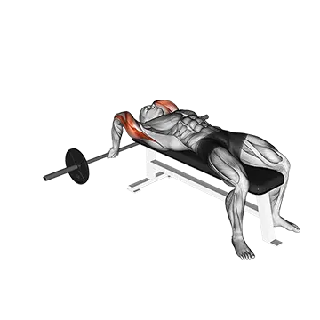 Barbell Lying Close-grip Triceps Extension