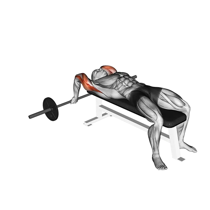 Barbell Lying Close-grip Triceps Extension exercise animation (Male)