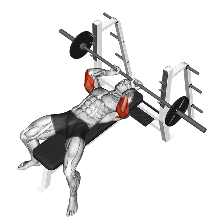 Barbell Lying extension exercise animation (Male)