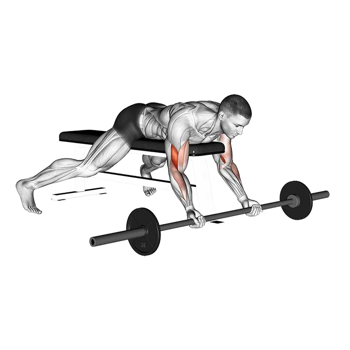 Barbell Lying Preacher Curl exercise animation (Male)
