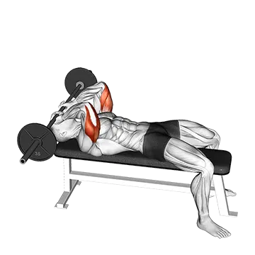 Barbell Lying Triceps Extension Skull Crusher